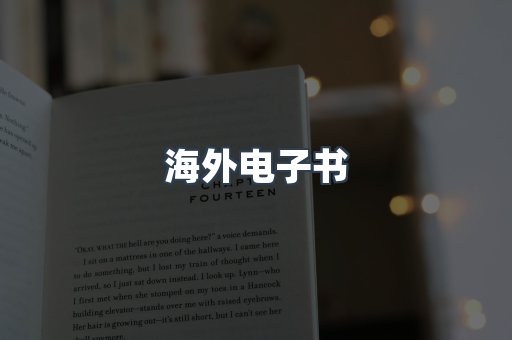 海外电子书